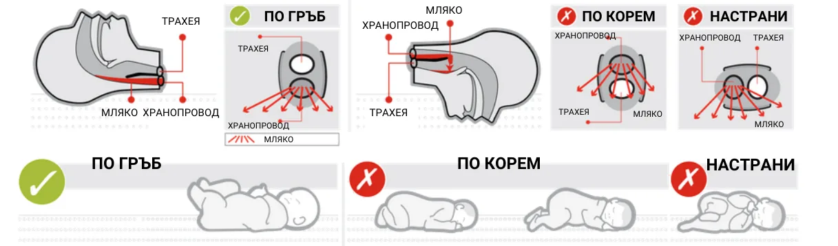 Диаграми на дихателните пътища и позициите за сън: по гръб, по корем и настрани